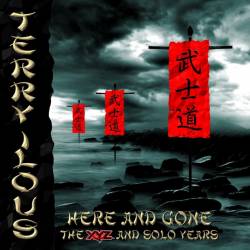 Terry Ilous : Here And Gone